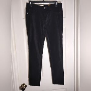 Pilcro Velour Serif Jeans